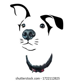 Head Dog Realistic Face Vector