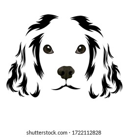 head dog realistic face vector