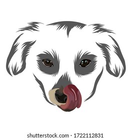 vectorial de cara realista