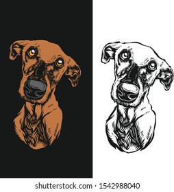 Head Dog vector art portrait