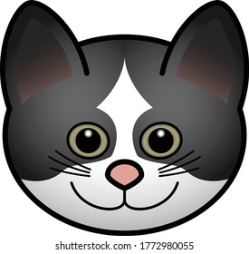 Head of a domesticated pet cat with a pink nose and olive eyes. Black and white coat pattern.