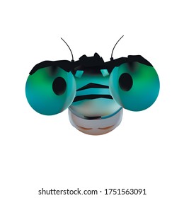 Head of a dragonfly isolated on a white background. Odonáta can be used as a print on items.