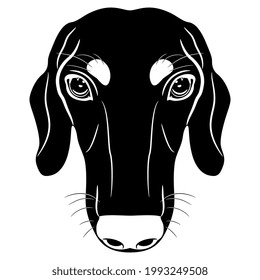 Head of a duchshund breed dog. Canine pet portrait. Animal mask. Black and white silhouette.