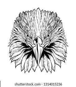 Head of Eagle Black and White, Front View Eagle Head, Vector Illustration, Isolated Vector