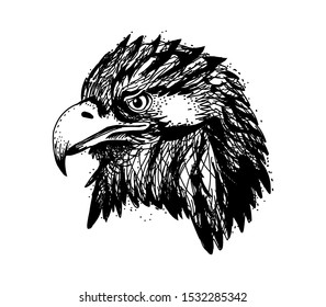 head eagle drawing art vector illustration