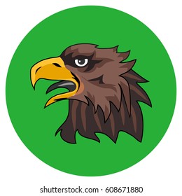Head of the eagle. Flat design, vector illustration, vector.