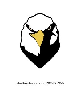 Head Eagle the great formidable predator 