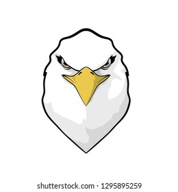 Head Eagle the great formidable predator 