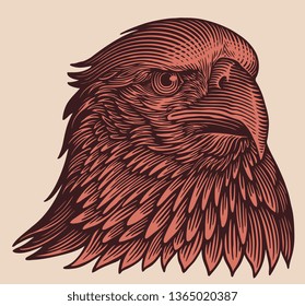 The head of an eagle. Hand drawn engraving. Editable vector vintage illustration. Isolated on light background. 8 EPS