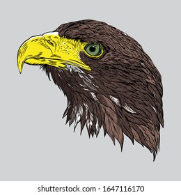 The head of an eagle. Hand drawn engraving.