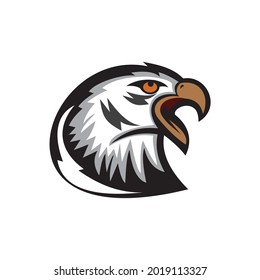 Head of eagle illustration vector