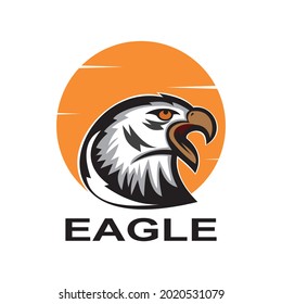 Head of eagle illustration vector
