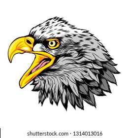 Head of Eagle Mascot Vector Logo, 
Vector Illustration, Isolated Vector