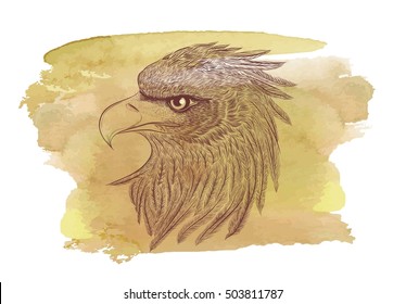 Head of eagle on watercolor background.