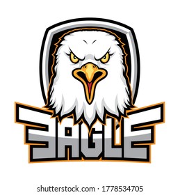 Head of the eagle, sport logo. vector eagle.