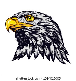 Head of Eagle Strong Style, Vector Illustration, Isolated Vector