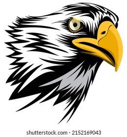 Head eagle symbol mascot nature design graphic vector illustration