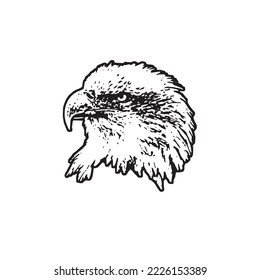 head of eagle with white background vector ilustration