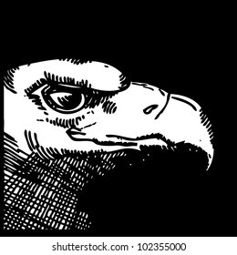 head of eagle- woodcut