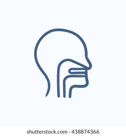 Cabeza con oreja, nariz, sistema de garganta icono de esbozo vectorial aislado en el fondo. Cabeza dibujada a mano con oreja, nariz, icono del sistema de garganta. Cabeza con oreja, nariz, ícono de garganta para infografía, sitio web o aplicación.