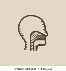 Head with ear, nose, throat system vector sketch icon isolated on background. Hand drawn head with ear, nose, throat system icon. Head with ear, nose, throat icon for infographic, website or app.