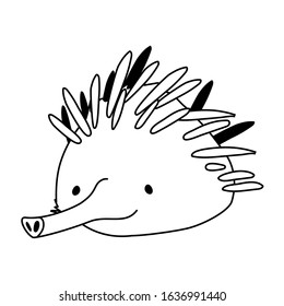 Head of echidna on white background. vector illustration design.