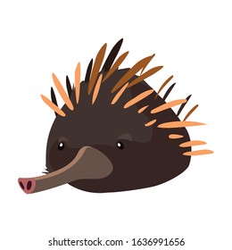 Head of echidna on white background. vector illustration design.