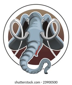 head of the elephant