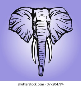 The head of an elephant on colored background