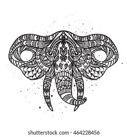 head elephant on the grange background