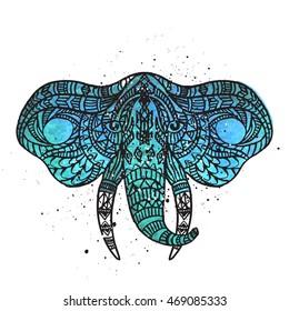 head elephant on the grange background