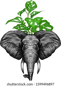 the head of an elephant with palm tree leaves green