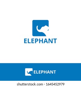 Head of elephant in the rectangle with blue color logo design template.