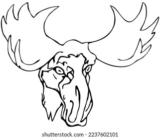 La cabeza de una alce con grandes cuernos. Dibujo lineal, trabajo creativo