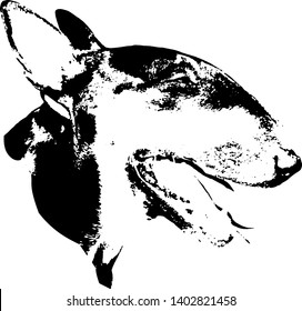 Head of English Bull Terrier black and white vector