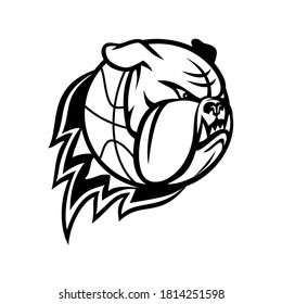 Head of English Bulldog or British Bulldog Basketball Ball on Fire Blazing Mascot Black and White