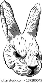 Head an evil bunny  vector illustration 