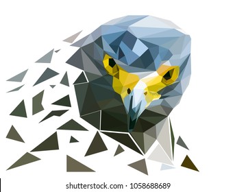 Head Of  Falcon Bird Polygon ,look At Us, Vector Art And Illustration.