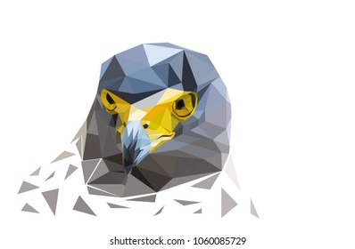 head of falcon bird polygon, look at us image design, with white background, geometric triangle shape object,, animal worldwide concept, vector art and illustration.