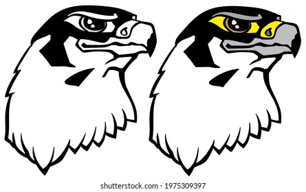 head of a falcon the bird of prey. Falconry. Black and white isolated vector