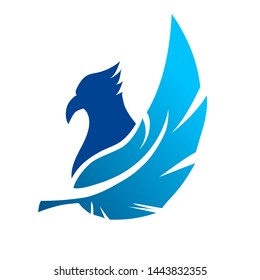 head falcon, head eagle and feather logo design inspiration