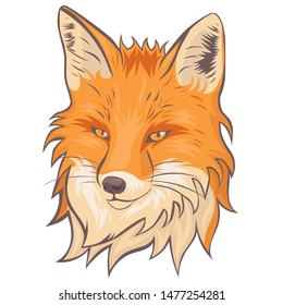 The head of the fox. Isolate on a white background. Vector graphics.