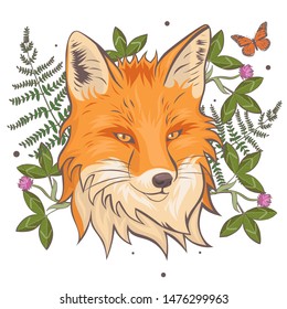 The head of a fox surrounded by clover and fern. Isolate on a white background. Vector graphics.