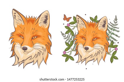 The head of a fox surrounded by clover and fern. Isolate on a white background. Vector graphics.