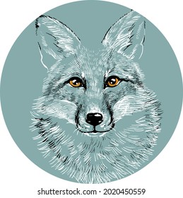 The head of a fox wolf in a circle. Illustration a hand-drawn drawing, like an emblem or logo.