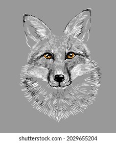 The head of a fox wolf. Illustration a hand-drawn drawing, like an emblem or logo.