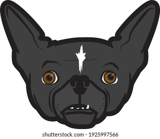 Head of a French Bull Terrier charcoal in color