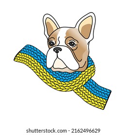 Cabeza de un bulldog francés con una bufanda en el color de la bandera ucraniana. Color azul y amarillo. Ilustración vectorial. 