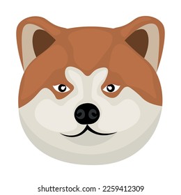 Head of funny Akita Inu dog on white background