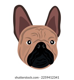 Head of funny bulldog on white background